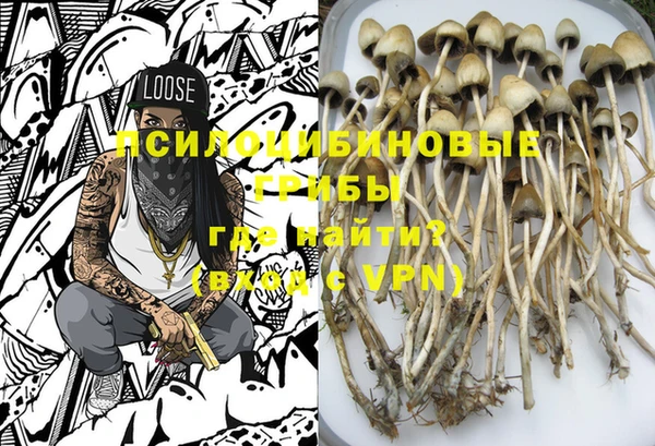 эйфоретик Новодвинск