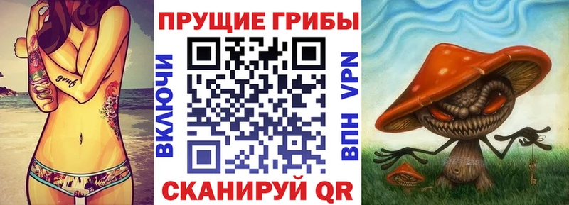 Псилоцибиновые грибы прущие грибы  Власиха 