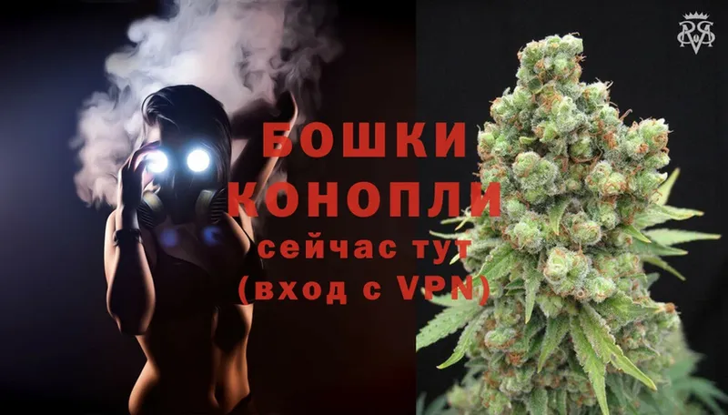 Конопля OG Kush  Власиха 