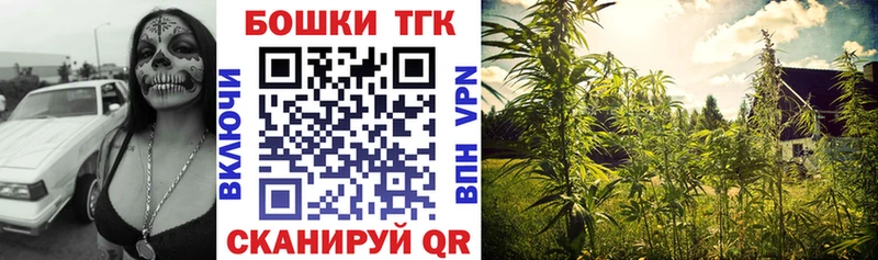 Конопля гибрид  купить наркоту  Власиха 